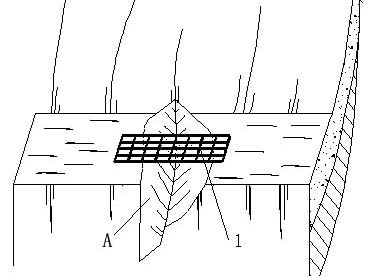 Combined emergency bridge and erection method thereof