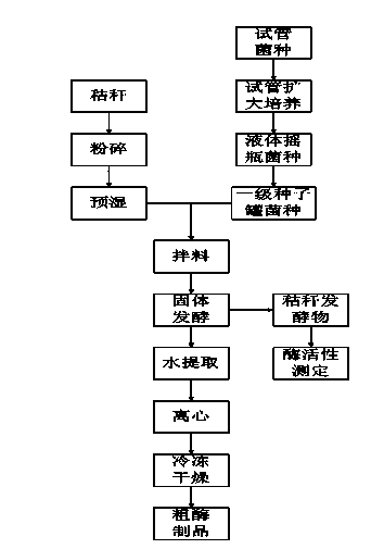 Method for Aspergillus oryzae to secrete lignin to prepare peroxidase