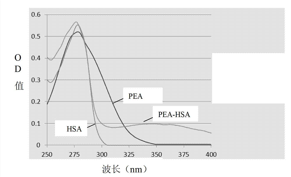 Enzyme-linked immunoassay kit for detecting phenylethanolamine A