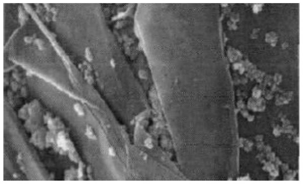 Fe-Fe2O3/nitrogen-doped expanded graphite composite material for grease adsorption