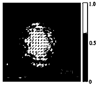 Device and method for manipulating particles to perform asymmetric spin and orbital motion