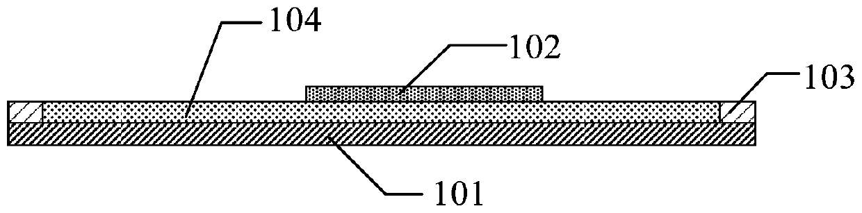 Plaster, plaster paste, preparation method of plaster and preparation method of plaster paste