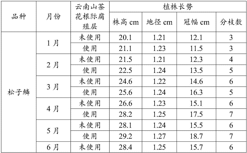 Cultivation matrix for Yunnan camellia and preparation method thereof