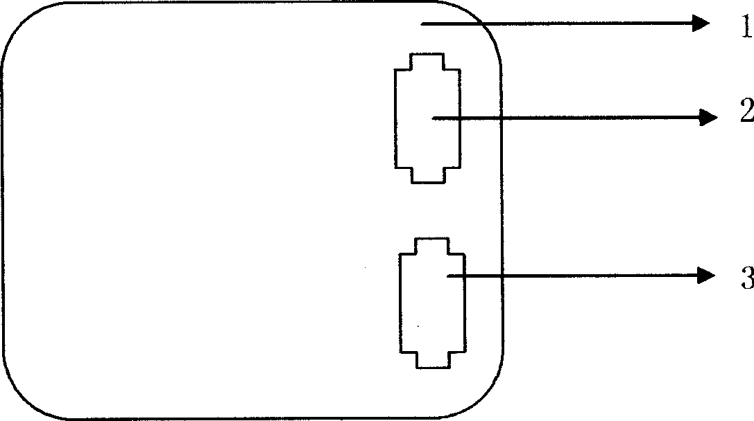 Quality detector of battery fuel