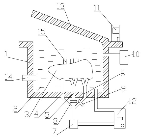 Perfusion preservation device for liver