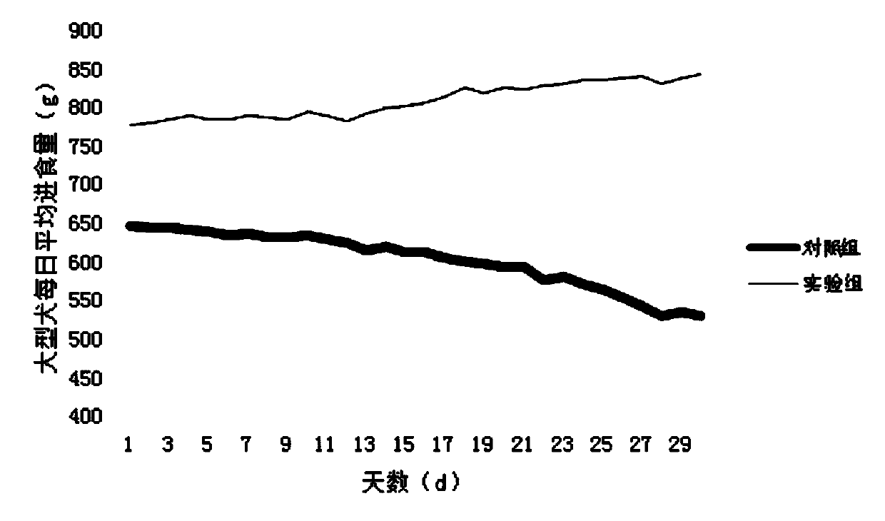 Feed inducing agent for applying fermentation duck stomach to improve feeding sustained-effect of pet dog and preparation method