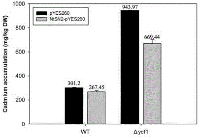 New application of tobacco Snakin2 gene