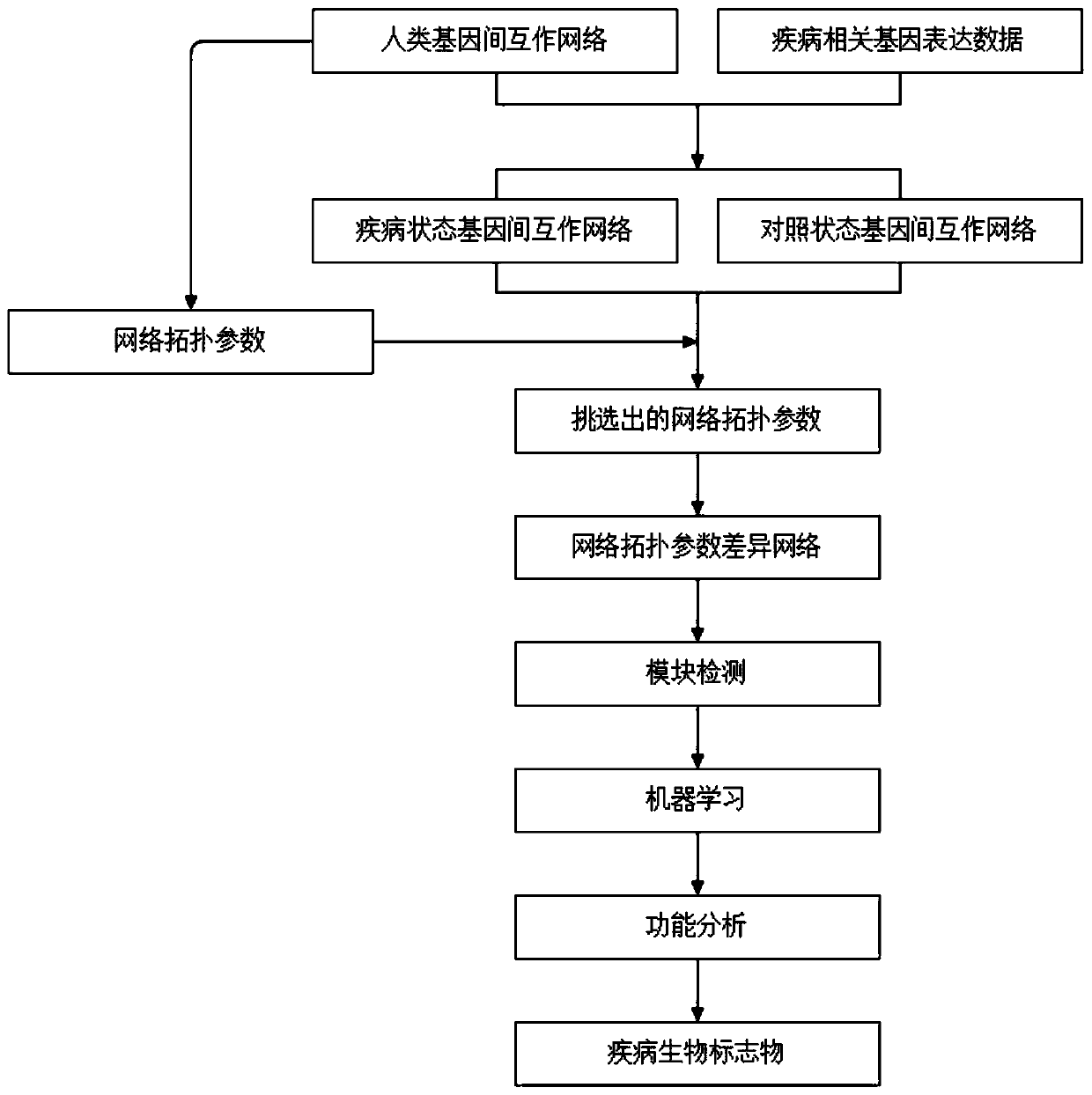 Cancer biomolecule marker screening method and system based on network topology parameters