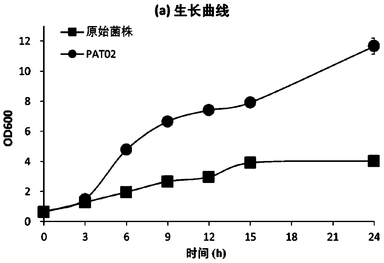 Saccharomyces cerevisiae strain enduring ferulic acid and application of saccharomyces cerevisiae