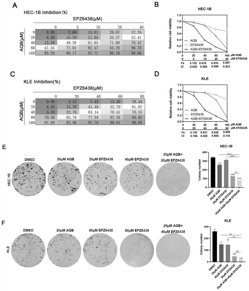 HOTAIR-PRC2 blocking agent and application of compound preparation of HOTAIR-PRC2 blocking agent in preparation of medicine for treating endometrial cancer