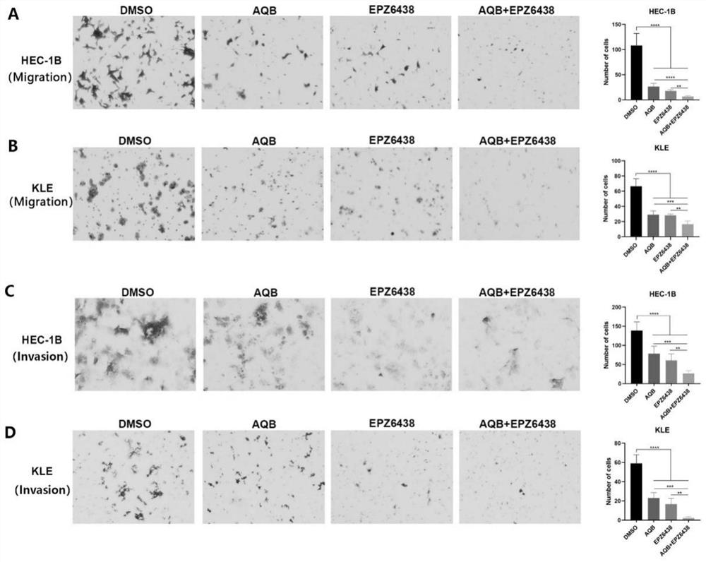 HOTAIR-PRC2 blocking agent and application of compound preparation of HOTAIR-PRC2 blocking agent in preparation of medicine for treating endometrial cancer