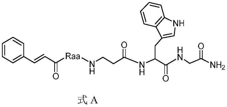 Novel insect kinin analogue and application thereof in aphid prevention and control