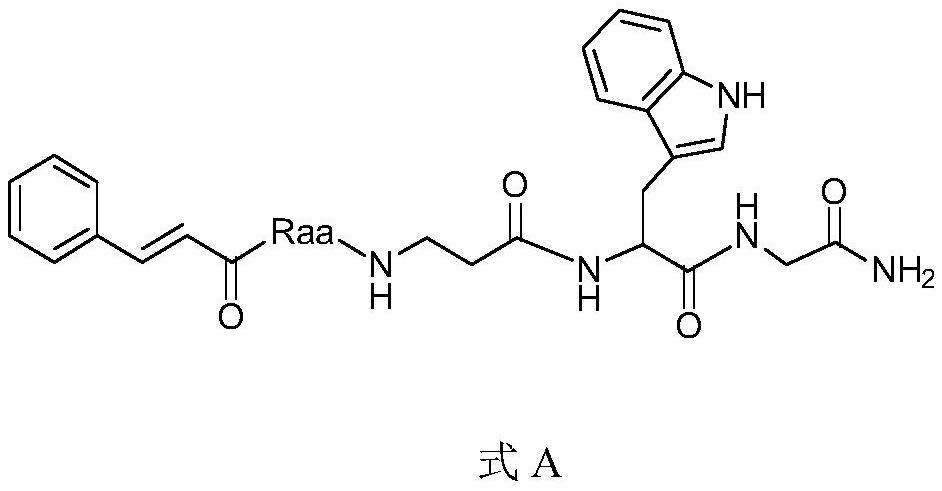 Novel insect kinin analogue and application thereof in aphid prevention and control