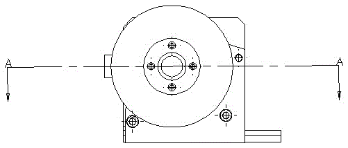 A reducer output shaft lengthening device