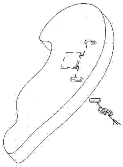 Biological-compatibility artificial ear and in-vitro rapid construction method thereof