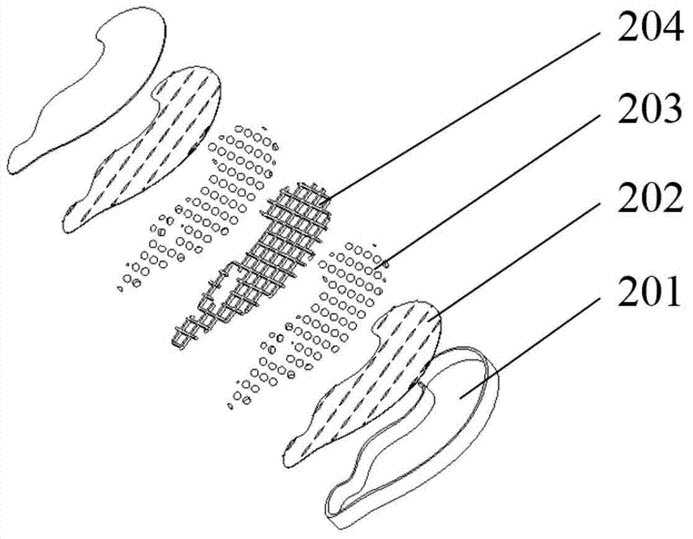 Biological-compatibility artificial ear and in-vitro rapid construction method thereof