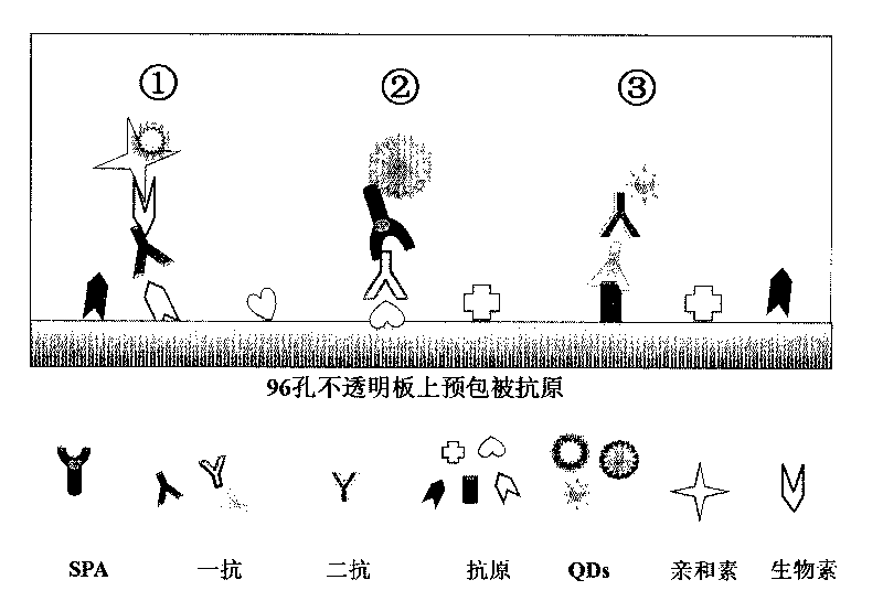 Method of detecting residue of small-molecule substance harmful to human body and a special kit