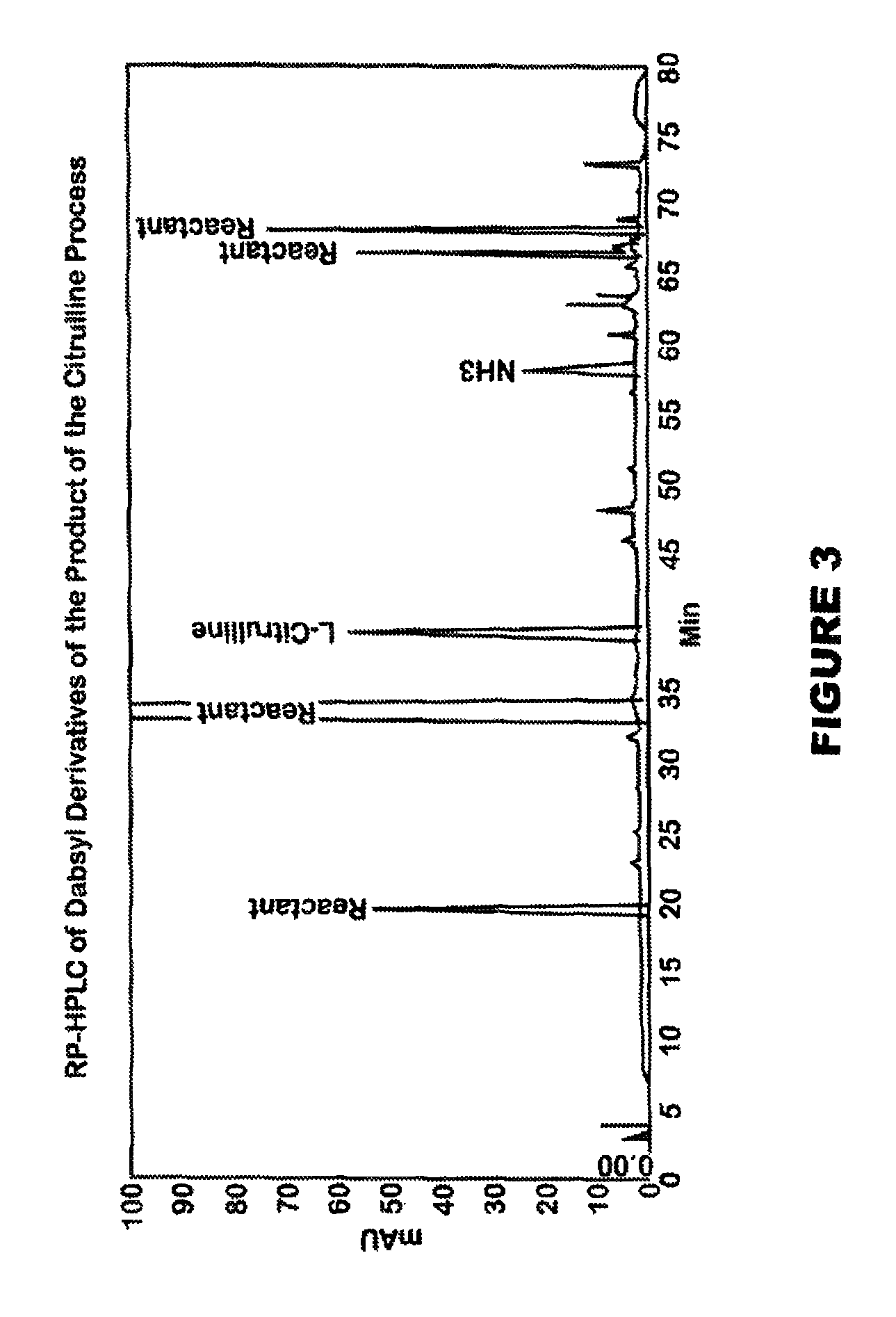 Process for the production of L-citrulline from watermelon flesh and rind