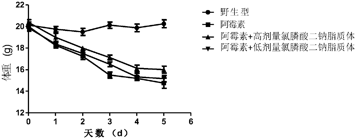 Application of liposomal clodronate on adjuvant treatment aspect of tumor doxorubicin chemotherapy