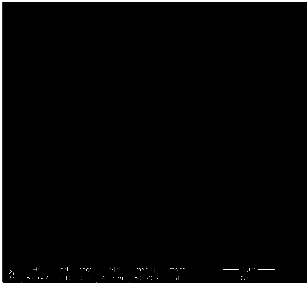 Modified ZSM-5 catalyst for alkylation reactions, preparation method and applications thereof, and p-xylene preparation method