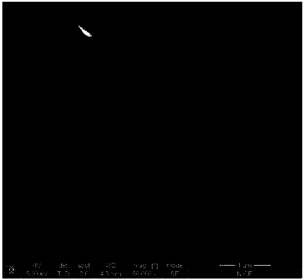 Modified ZSM-5 catalyst for alkylation reactions, preparation method and applications thereof, and p-xylene preparation method