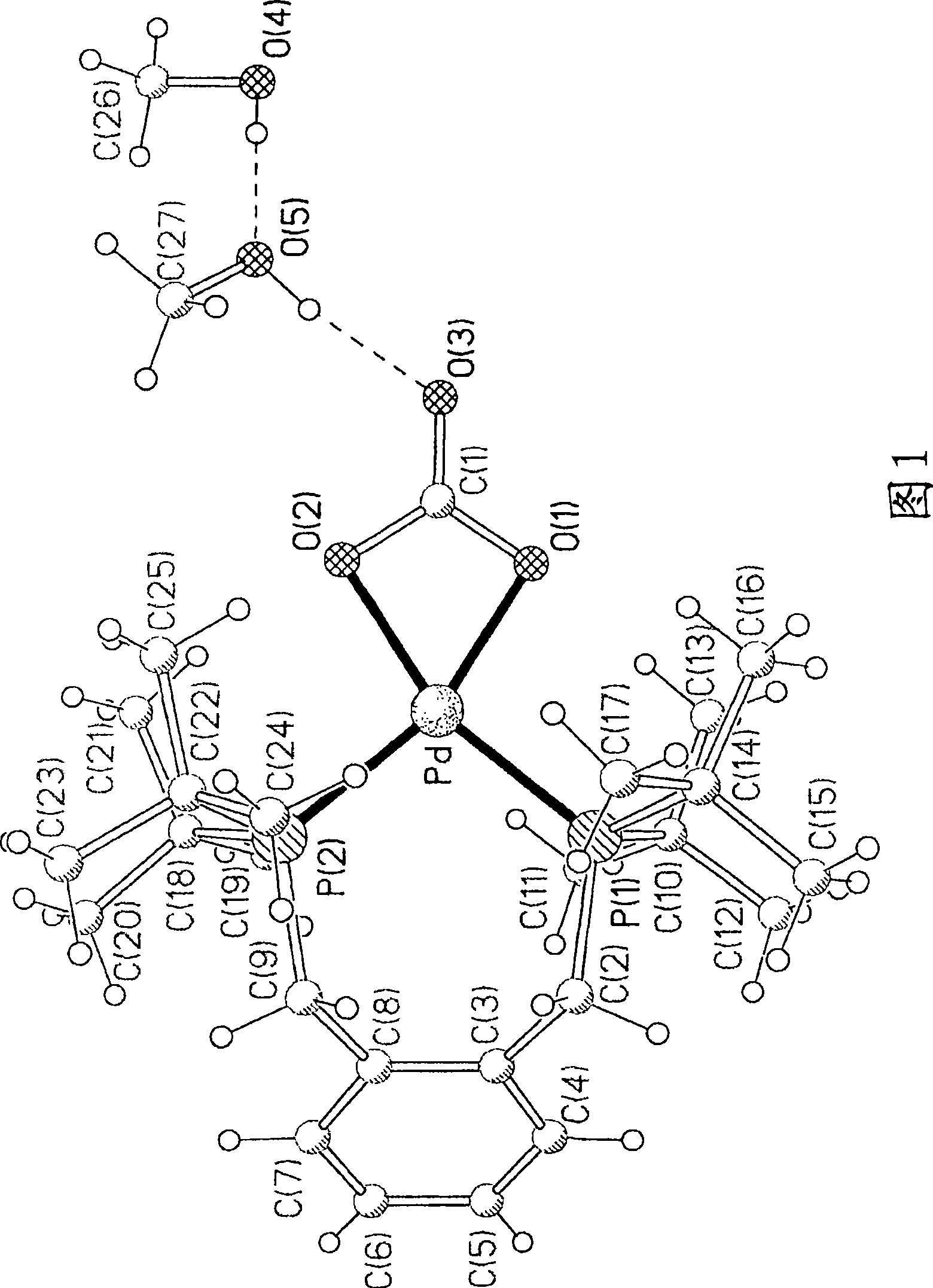 Metal complexes for use in the carbonylation of ethylenically unsaturated compounds