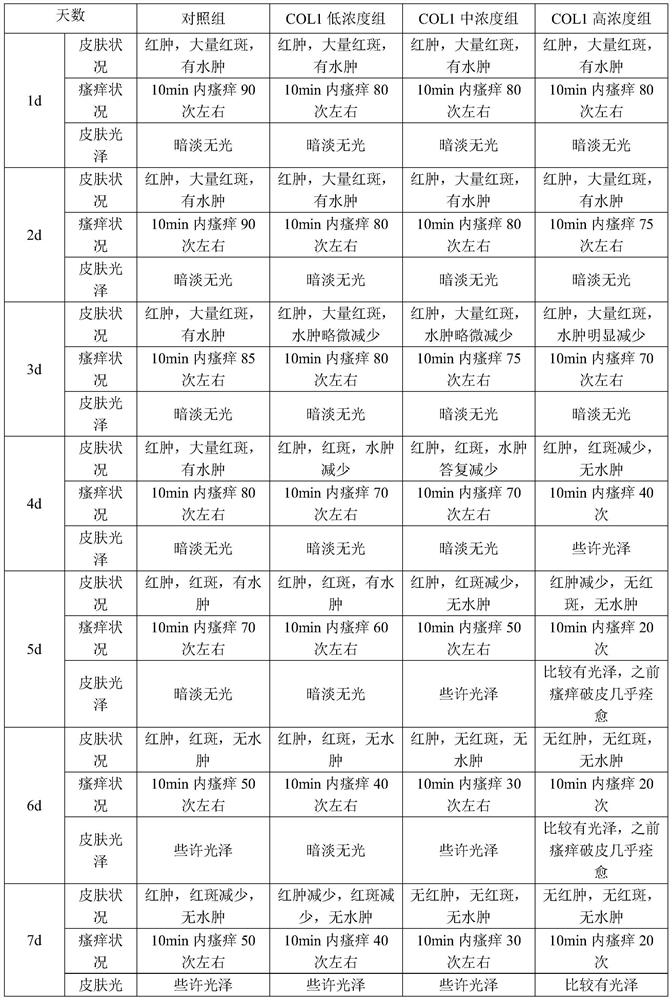 Application of recombinant humanized collagen and related composition and preparation method thereof