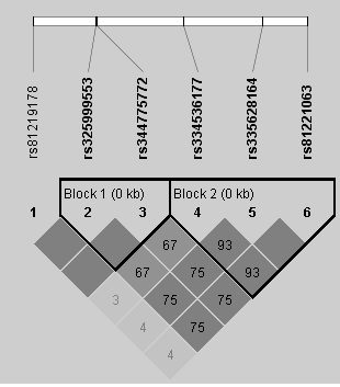 MC4R gene molecular marker related to Sujiang pig production traits as well as preparation method and application thereof