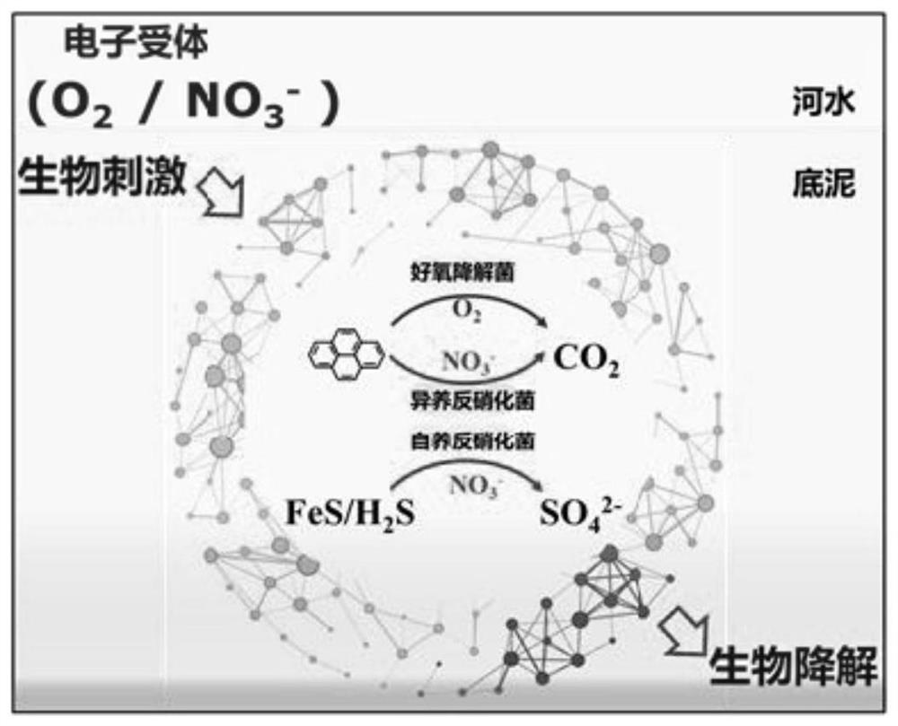 An ecological restoration method of urban rivers and lakes based on the new restoration model of "mud first and water later"