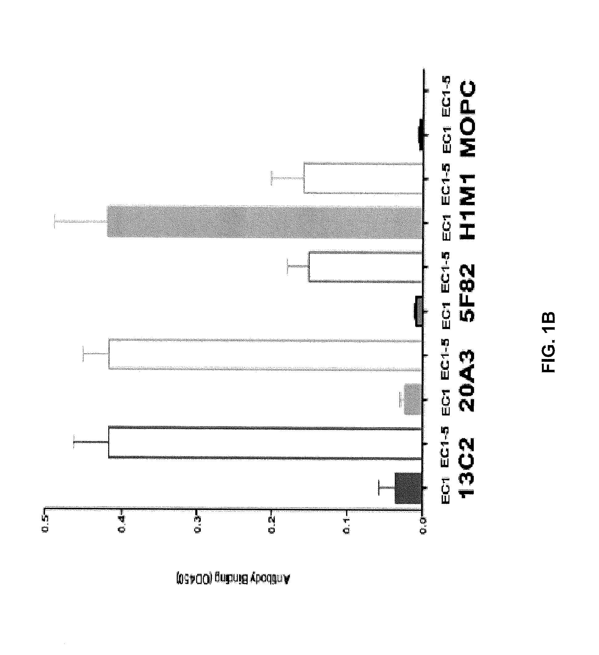 Humanized antibodies targeting the ec1 domain of cadherin-11 and related compositions and methods