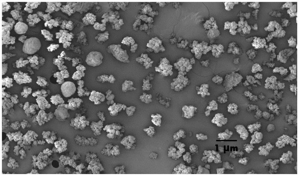 Chitosan microsphere and preparation method thereof