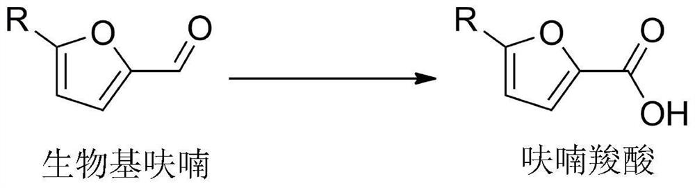 Aldehyde dehydrogenase and its gene, construction of recombinant bacteria and its application in the synthesis of furan carboxylic acid