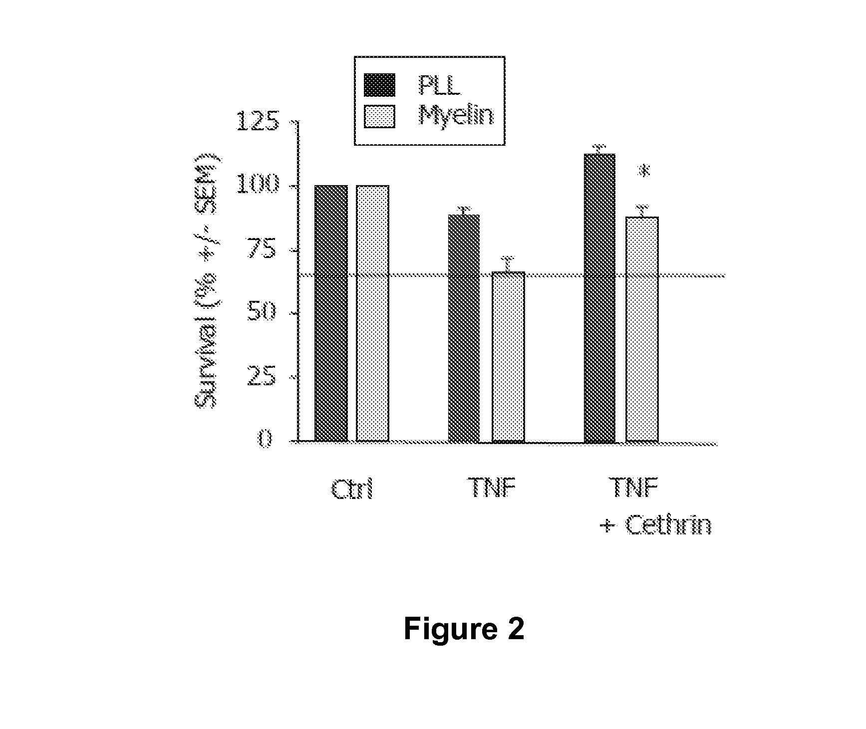 Inhibition of rho and or rock and cell transplantation