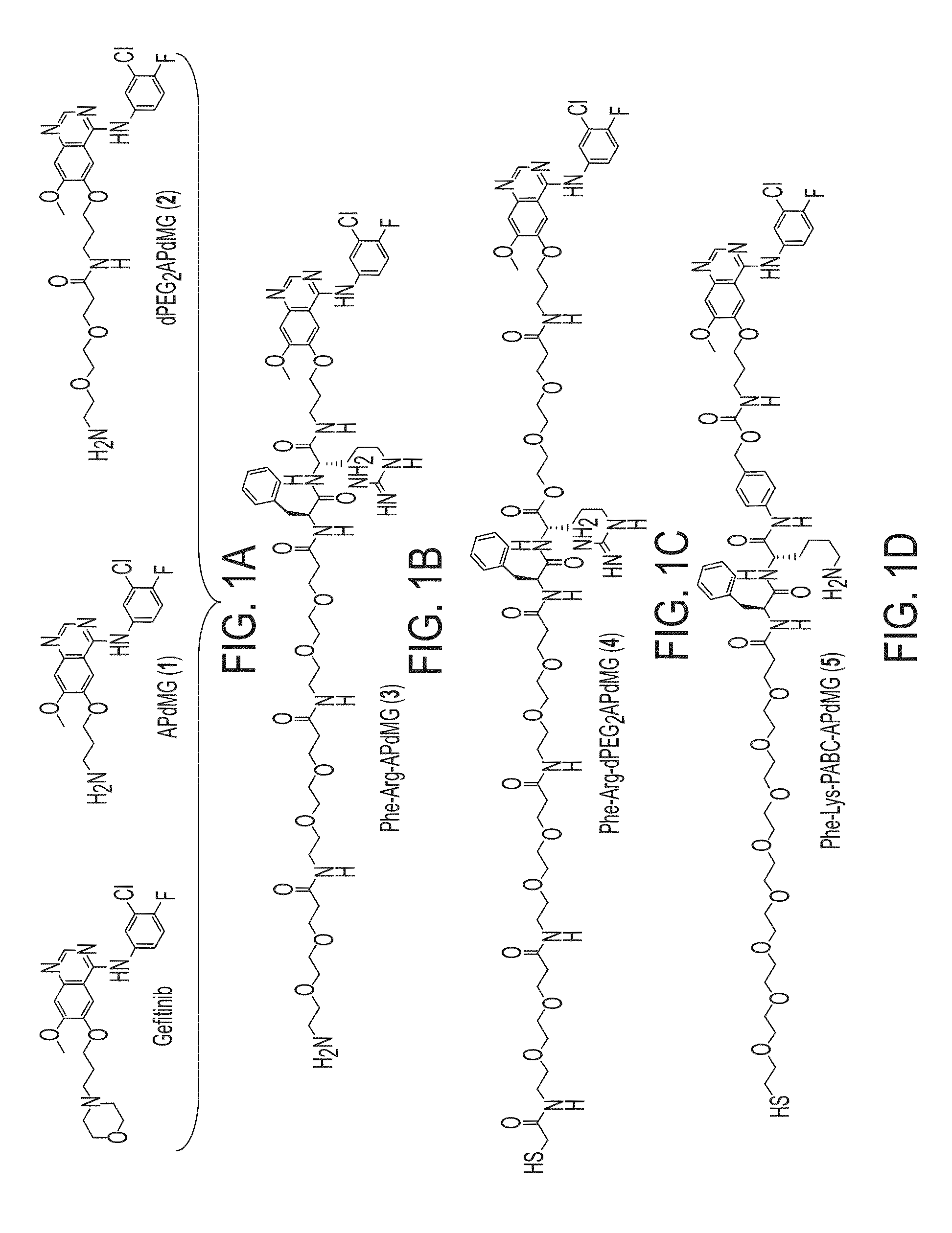 Nanoparticle drug conjugates