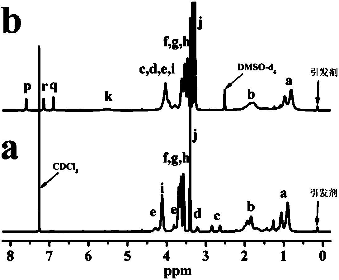 Thermo-sensitive polymer as well as synthetic method and application thereof