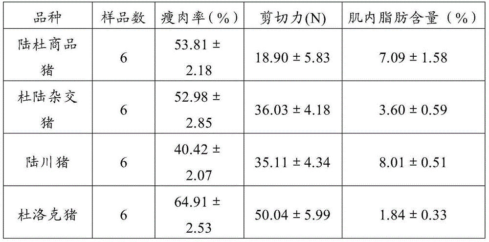 Hybridization method for improving porcine intramuscular fat content