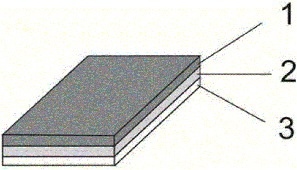 Disposable surface-enhanced Raman spectroscopy chip and preparation method