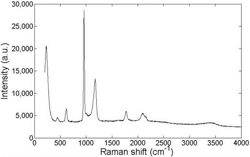 Disposable surface-enhanced Raman spectroscopy chip and preparation method