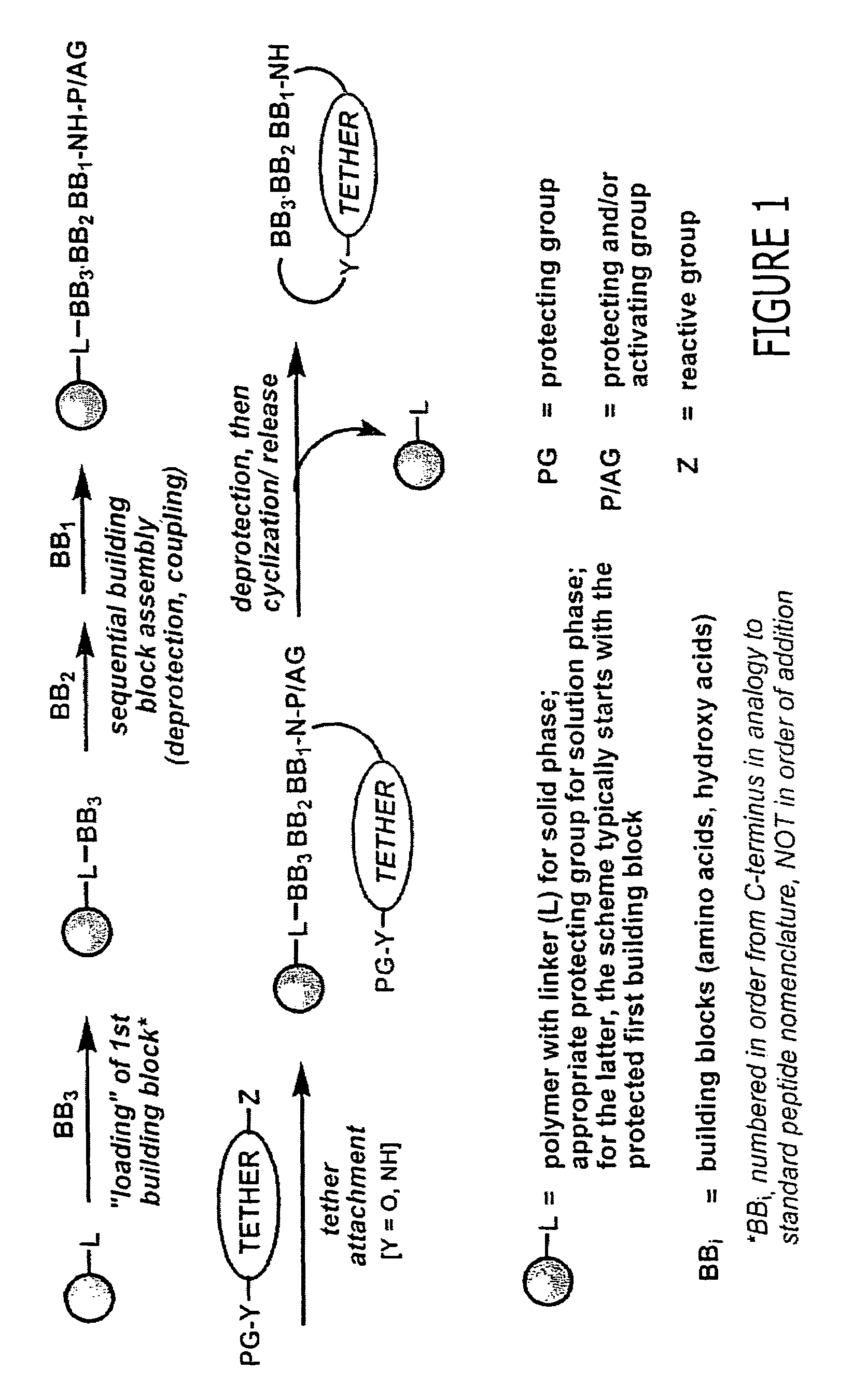 Macrocyclic modulators of the ghrelin receptor