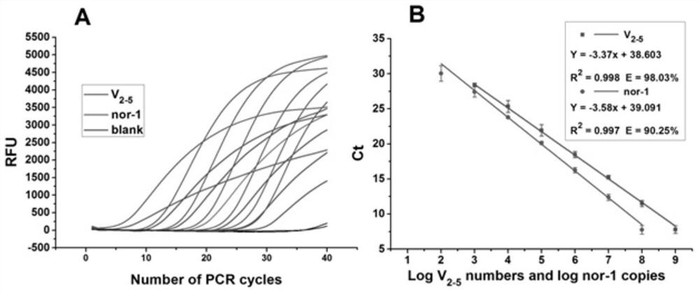 Simultaneous detection of aflatoxin production and nor-1 gene transcription rt-pcr kit and its detection method