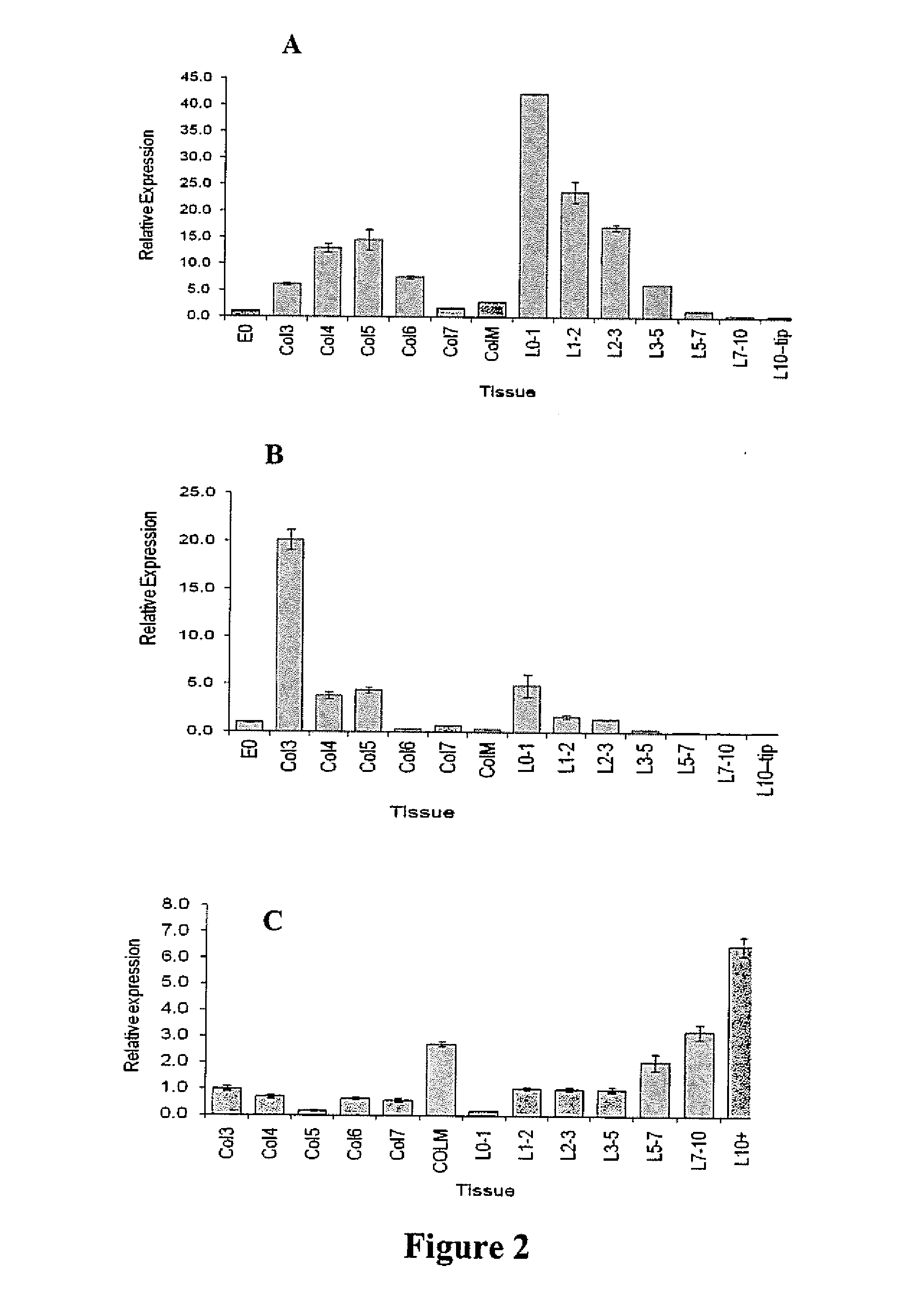 Wheat having high levels of beta-glucan