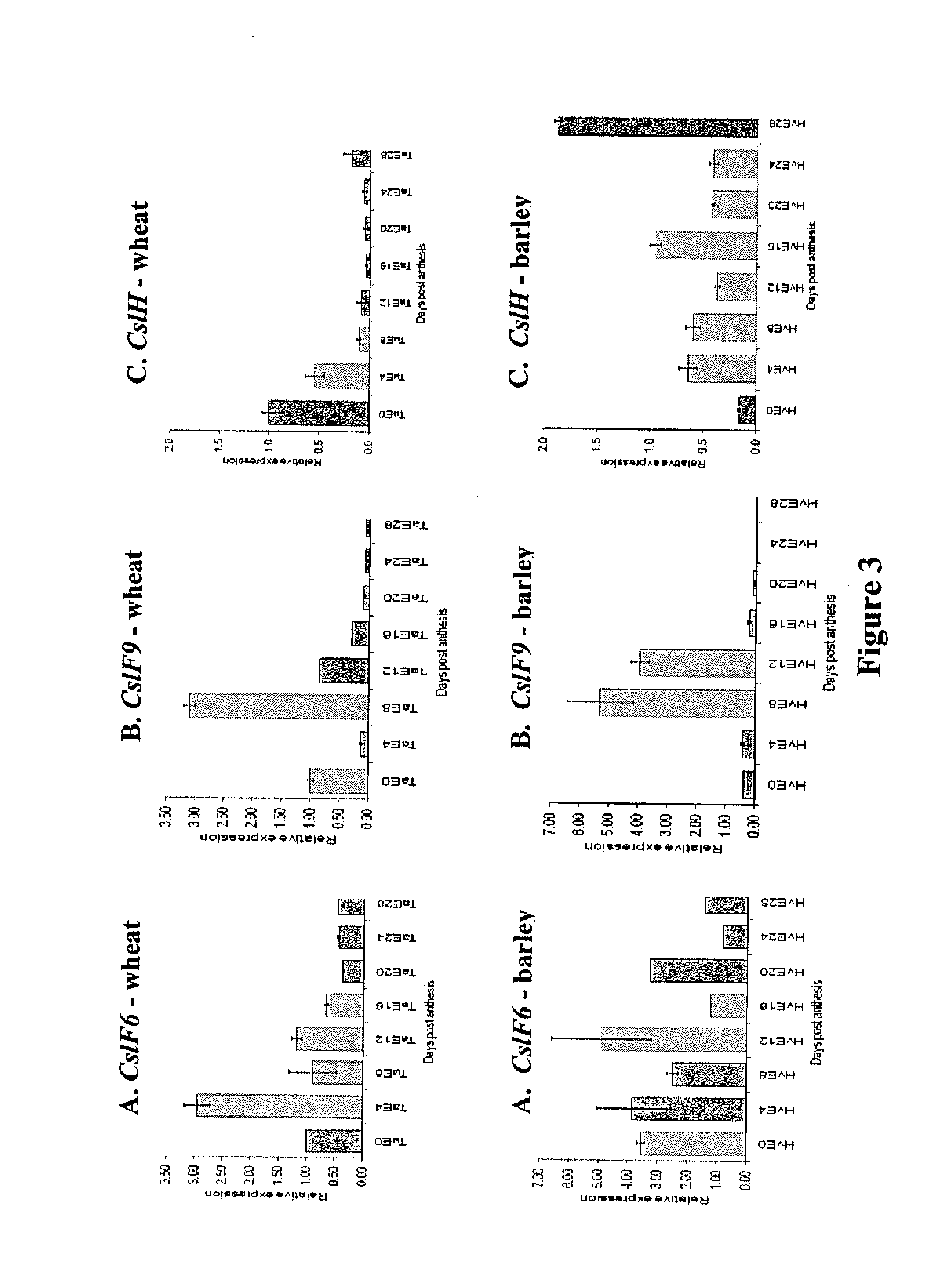 Wheat having high levels of beta-glucan