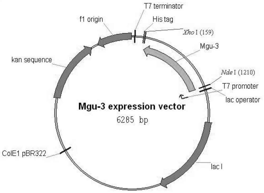 A ketoreductase mutant with improved enzyme activity and its application