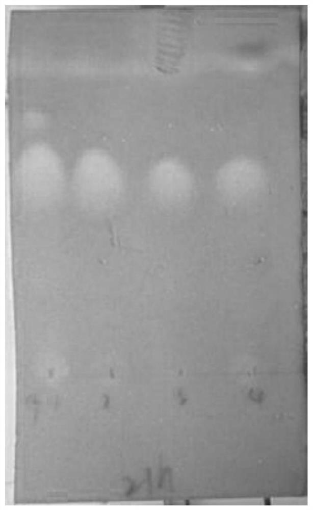 A ketoreductase mutant with improved enzyme activity and its application