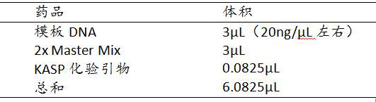 SNP sites remarkably associated with wheat powdery mildew resistance and application thereof in genetic breeding