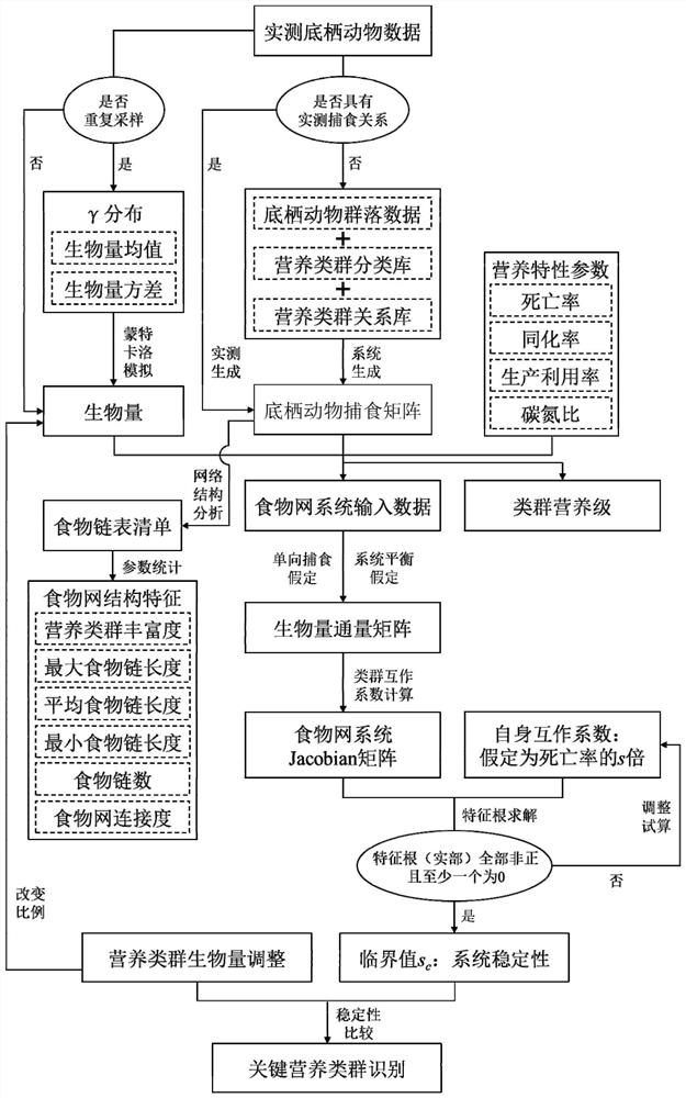 River ecosystem food web construction and structural function analysis method and platform