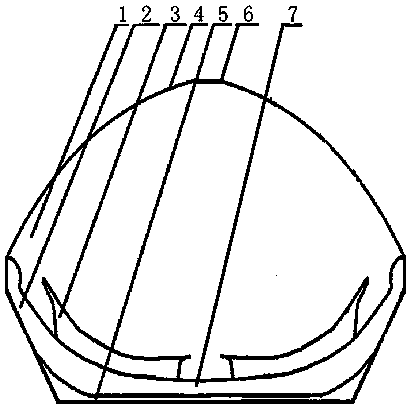 Eyepatch having effect of improving eyesight for myopia and presbyopia and preparation method of eyepatch