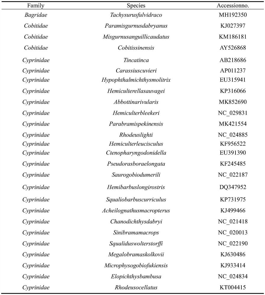 PCR (Polymerase Chain Reaction) primer, reagent or kit and identification method for identifying or assisting in identifying freshwater fish species