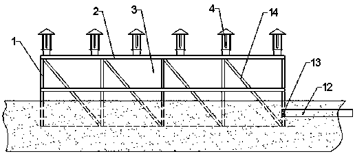 A kind of efficient frog breeding method