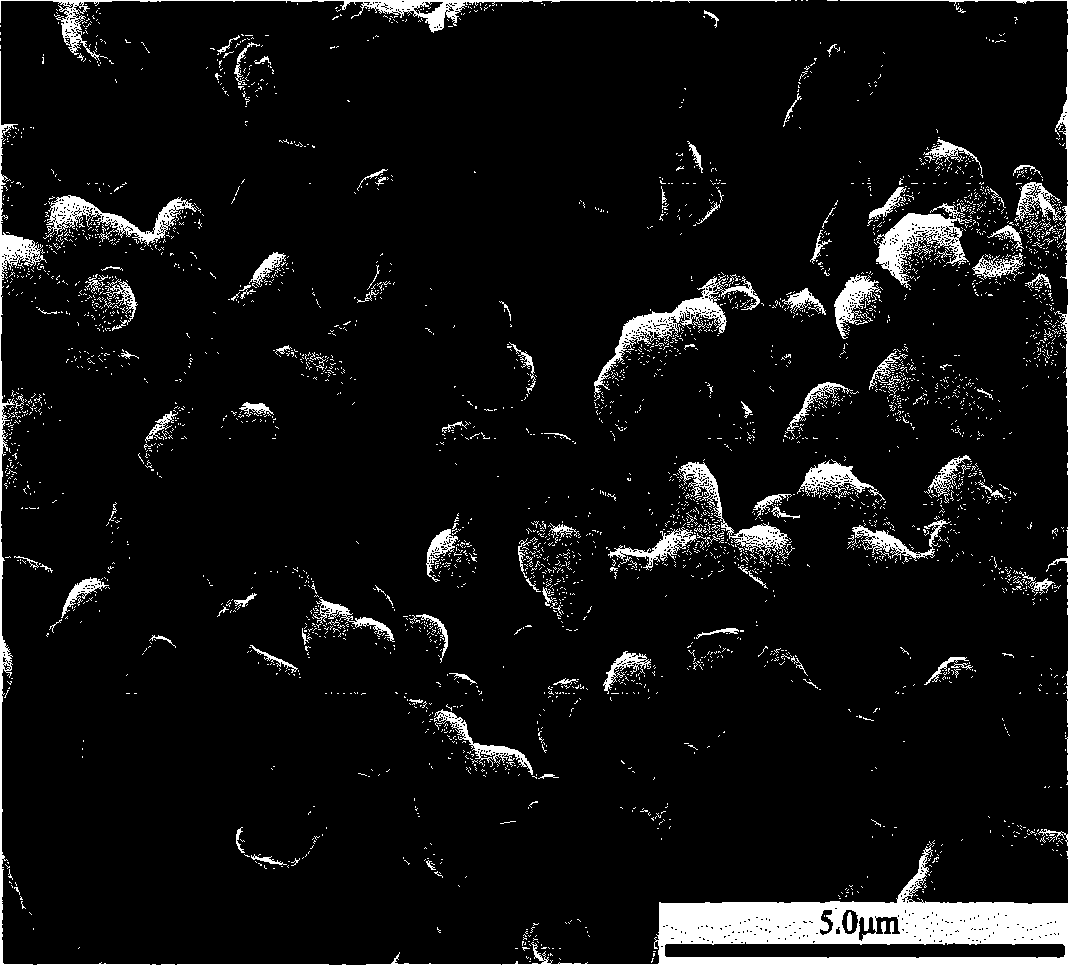 Method for preparing unsymmetrical biphase composite oxygen permeable membrane